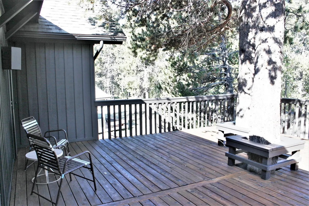 A serene deck scene with a wooden bench and seating area under the shade of a large tree, with a view looking out toward nature. The area feels private and peaceful, ideal for both solo relaxation and small group gatherings.
