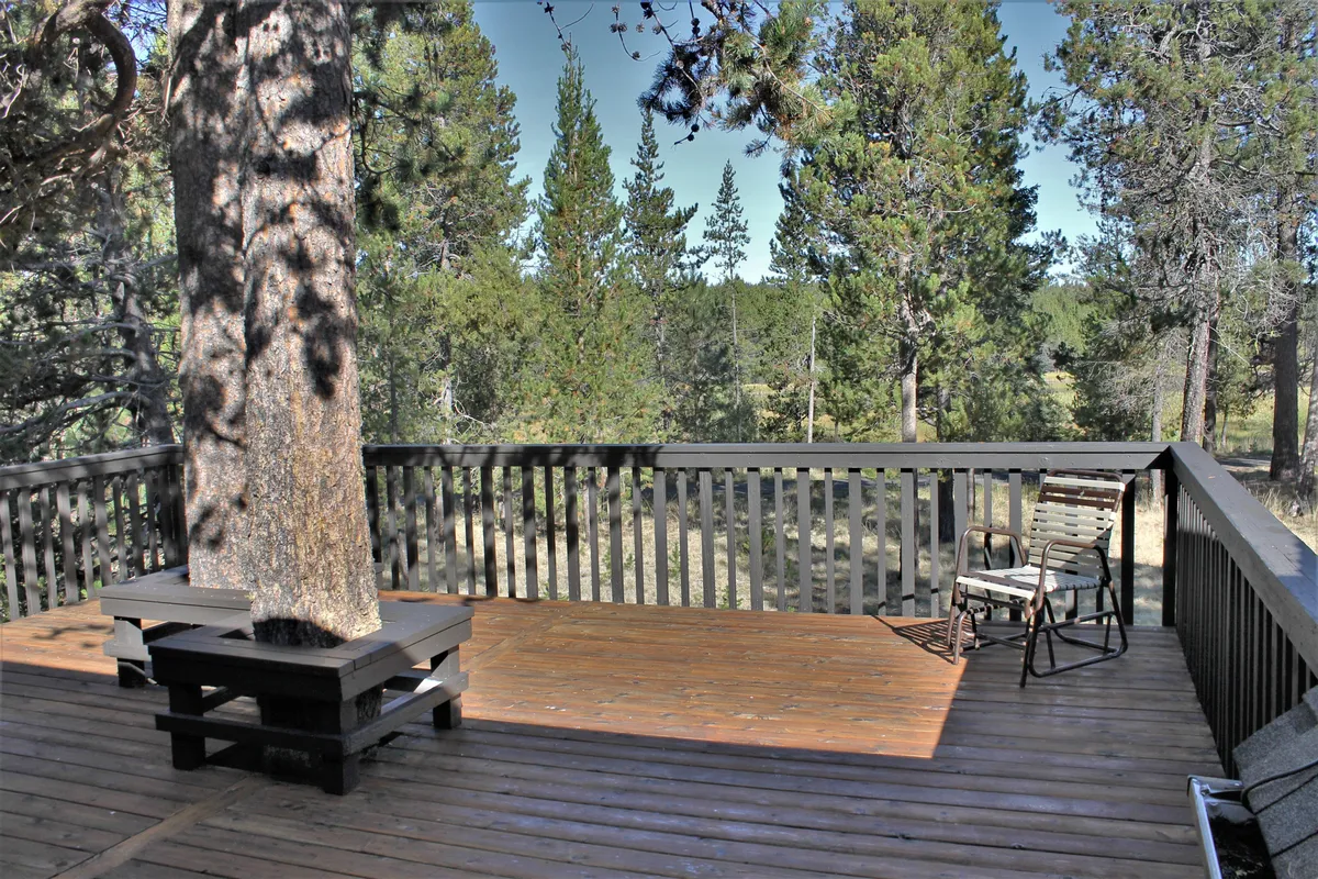 A spacious wooden deck set beneath a large central tree, surrounded by the tranquil beauty of a forest landscape. The scene captures outdoor seating and a peaceful, inviting setting perfect for family relaxation and gatherings after a day of recreation.